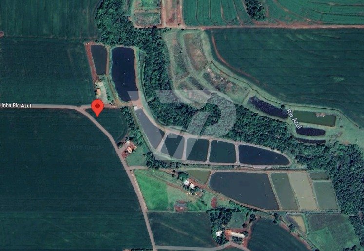 PISCICULTURA 76.000M² MARIPÁ